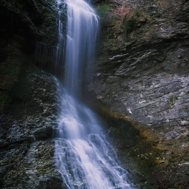 Ozark National Forest,&nbsp;AR