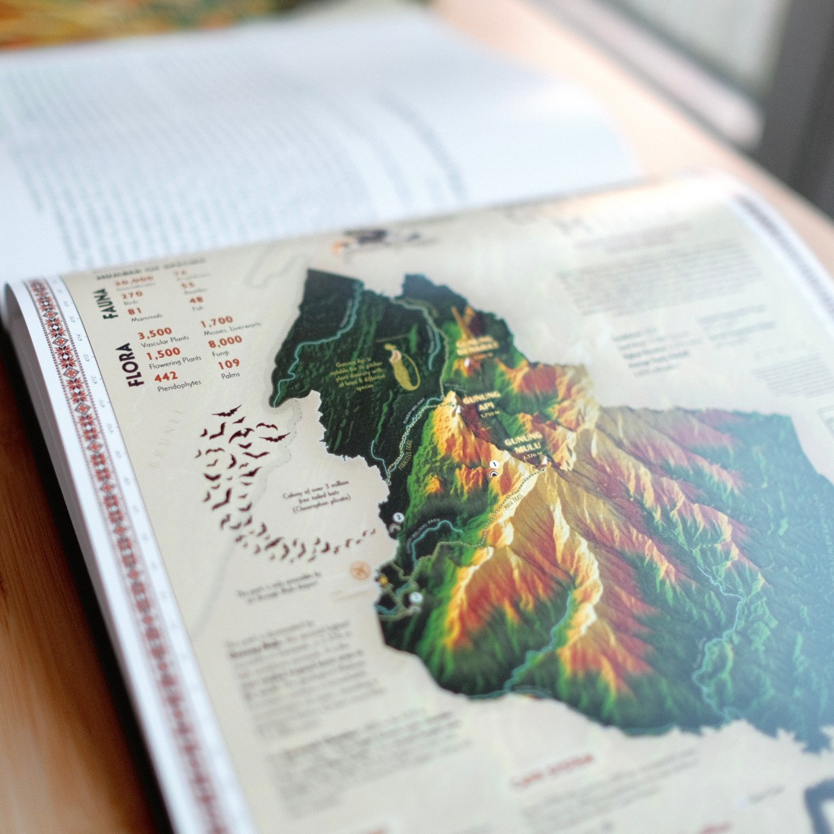 Taman Negara Gunung&nbsp;Mulu