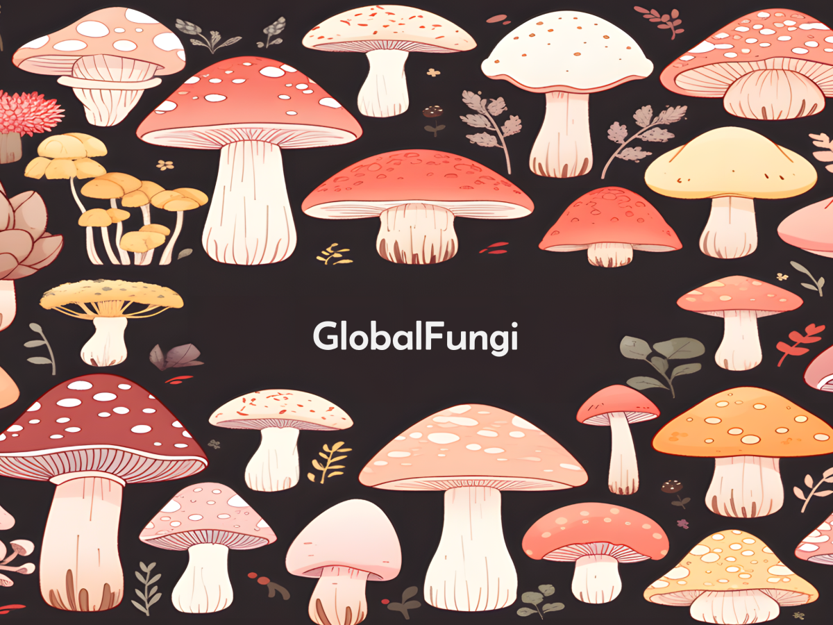Global Fungi