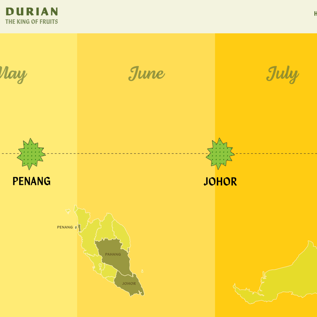 Web Design+Development